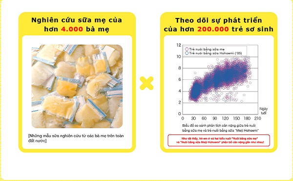 Review sữa Meiji Nhật Bản