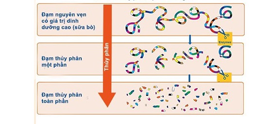 Sữa Meiji HP 850g nội địa Nhật Bản cho trẻ dị ứng đạm bò