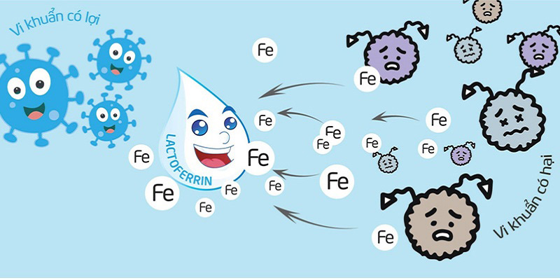 Sữa Meiji Infant Formula 800g nhập khẩu cho trẻ 0-1 tuổi