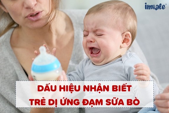 Sữa cho trẻ dị ứng đạm sữa bò