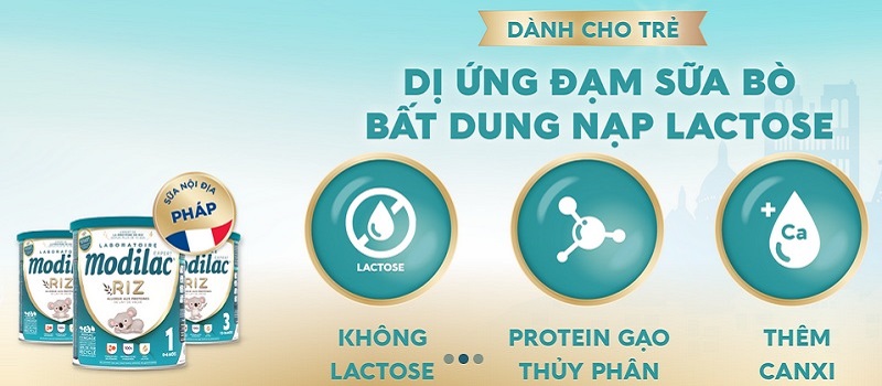 Sữa cho trẻ dị ứng đạm sữa bò