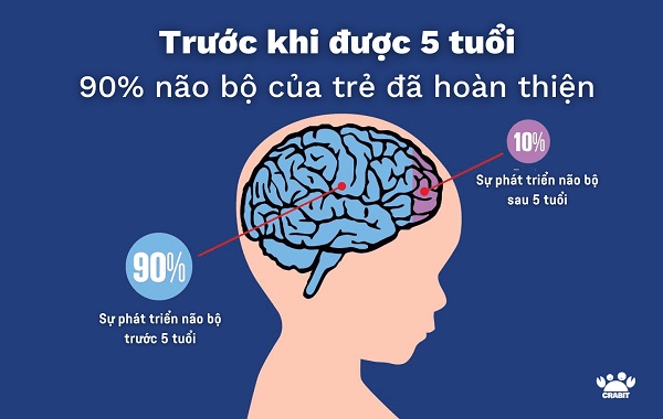 Sữa công thức phát triển trí não cho bé